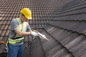 Best Metal Roofing Installation  in USA